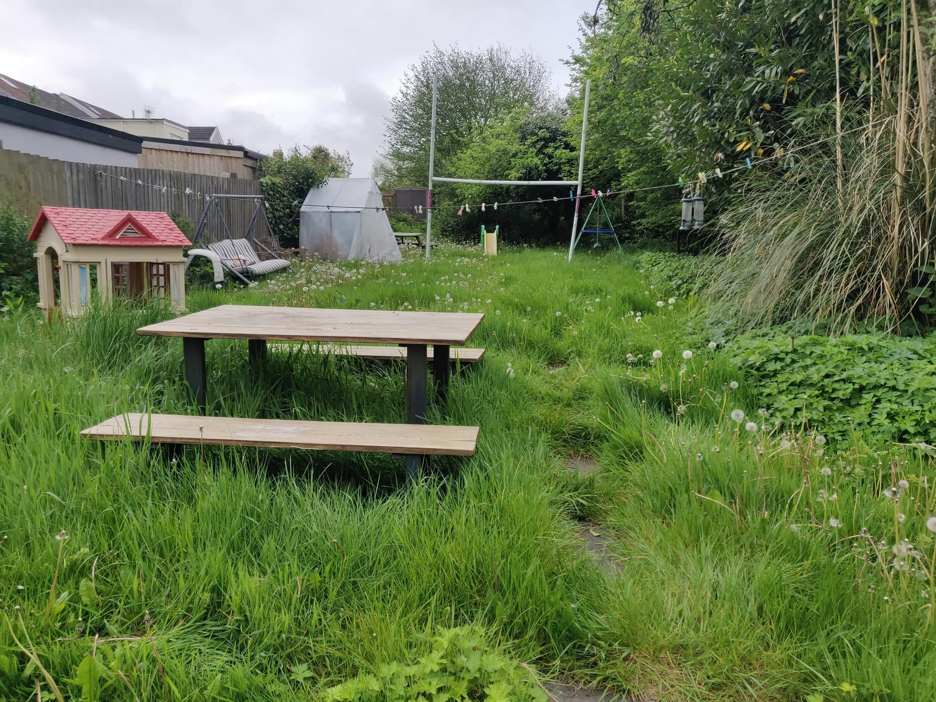 An overgrown back garden as found on arrival, grass knee-high around a picnic table