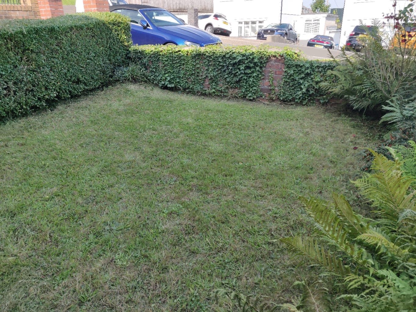 A front lawn cut and edged at the end of the job