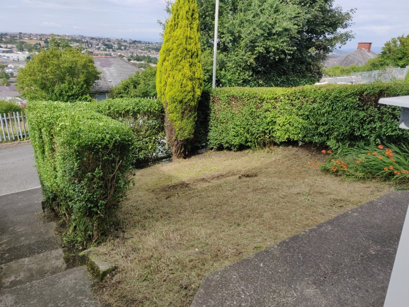 The same verge cut back and cleared